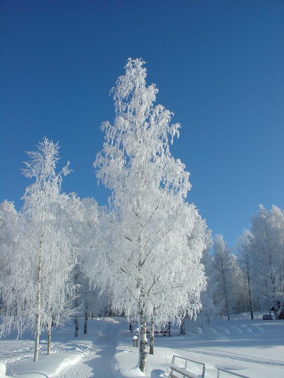 Hapimag Ferienwohnungen Punkaharju Exterior foto